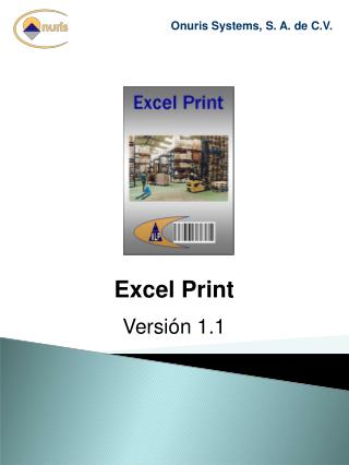 Excel Print
