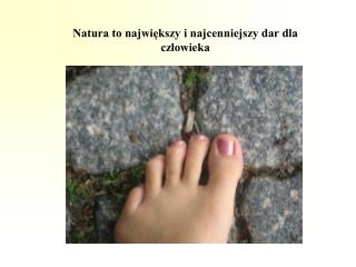 Natura to największy i najcenniejszy dar dla człowieka