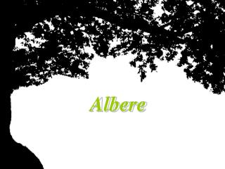 Albere