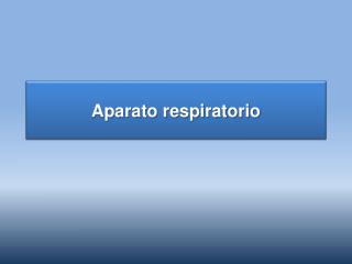 Aparato respiratorio