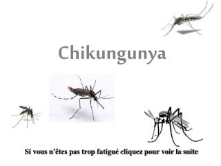 Chikungunya