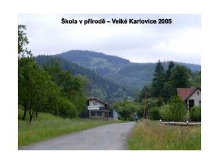 Škola v přírodě – Velké Karlovice 2005