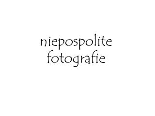 niepospolite fotografie