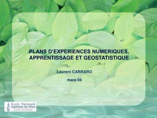 PLANS D’EXPERIENCES NUMERIQUES, APPRENTISSAGE ET GEOSTATISTIQUE