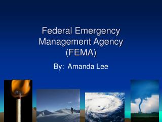 Federal Emergency Management Agency (FEMA)