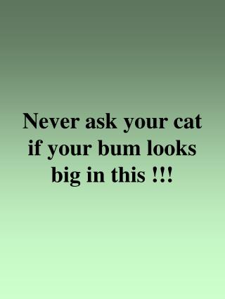 Never ask your cat if your bum looks big in this !!!