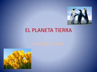 EL PLANETA TIERRA