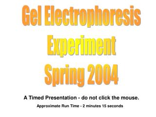Gel Electrophoresis Experiment Spring 2004