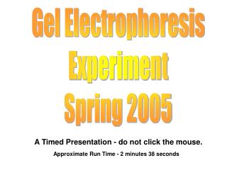 Gel Electrophoresis Experiment Spring 2005