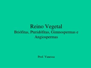 Reino Vegetal Briófitas, Pteridófitas, Gimnospermas e Angiospermas