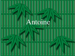 Antoine