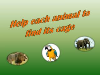 Help each animal to find its cage
