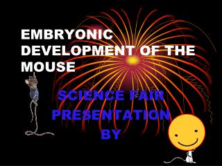 EMBRYONIC DEVELOPMENT OF THE MOUSE
