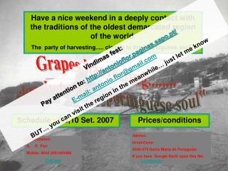 Grapes harvesting........ closely to the &quot;portuguese soul&quot;