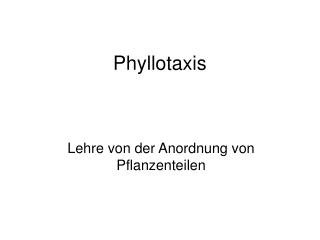 Phyllotaxis