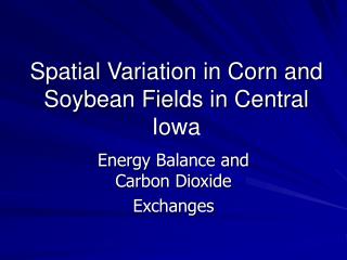 Spatial Variation in Corn and Soybean Fields in Central Iowa