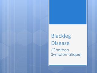 Blackleg Disease