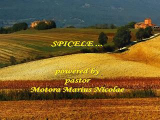 SPICELE ... powered by pastor Motora Marius Nicolae