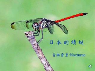 日 本 的 蜻 蜓 音樂背景 :Nocturne