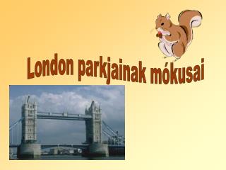 London parkjainak mókusai