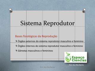 Sistema Reprodutor