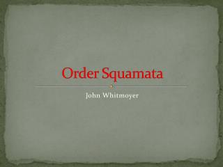 Order Squamata