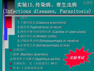 实验 15, 传染病、寄生虫病 (Infectious diseases, Parasitosis)