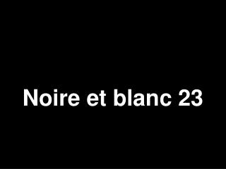 Noire et blanc 23