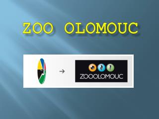 zoo Olomouc