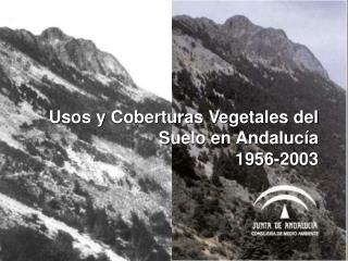 U sos y C oberturas V egetales del S uelo en Andalucía 1956-2003