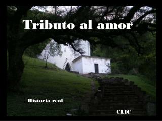 Tributo al amor