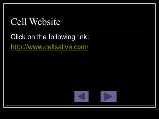 Cell Website