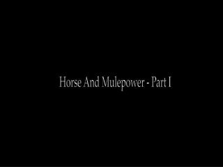 Horse And Mulepower - Part I