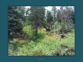 Aspen_Hills_-_Lot_1251