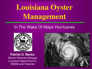 Louisiana Oyster Management