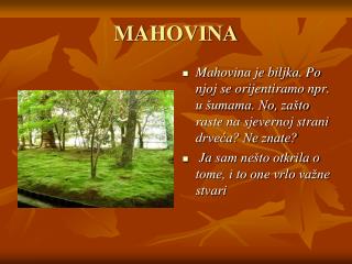 MAHOVINA