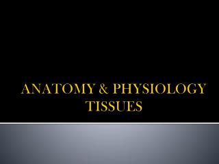 ANATOMY &amp; PHYSIOLOGY TISSUES