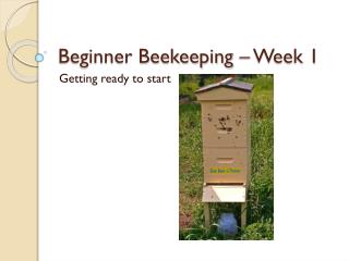 Beginner Beekeeping – Week 1