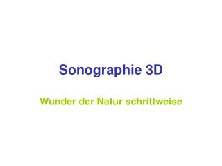 Sonographie 3D