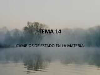 TEMA 14