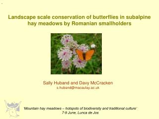 Landscape scale conservation of butterflies in subalpine hay meadows by Romanian smallholders