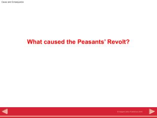 What caused the Peasants’ Revolt?