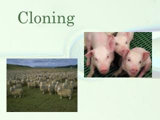 Cloning