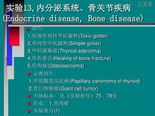 实验 13, 内分泌系统、骨关节疾病 (Endocrine disease, Bone disease)