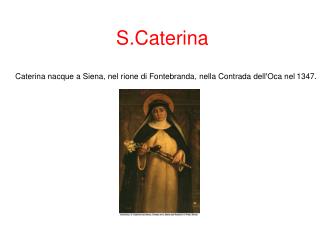 S.Caterina