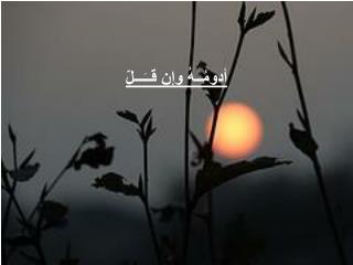 أدومُــهُ وإن قــَـــلّ