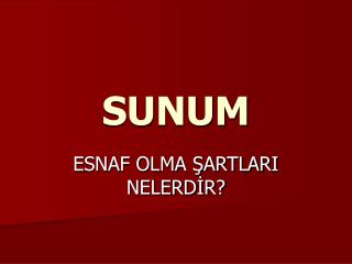 SUNUM