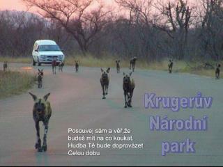 Krugerův Národní park