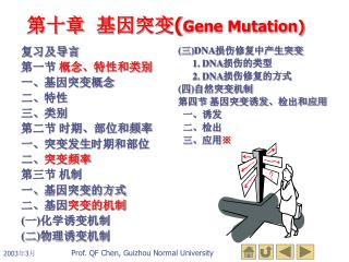 第十章 基因突变 ( Gene Mutation)