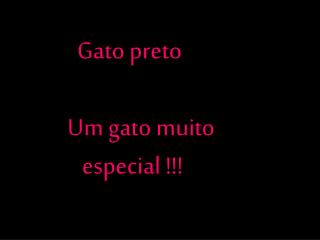 Gato preto Um gato muito especial !!!